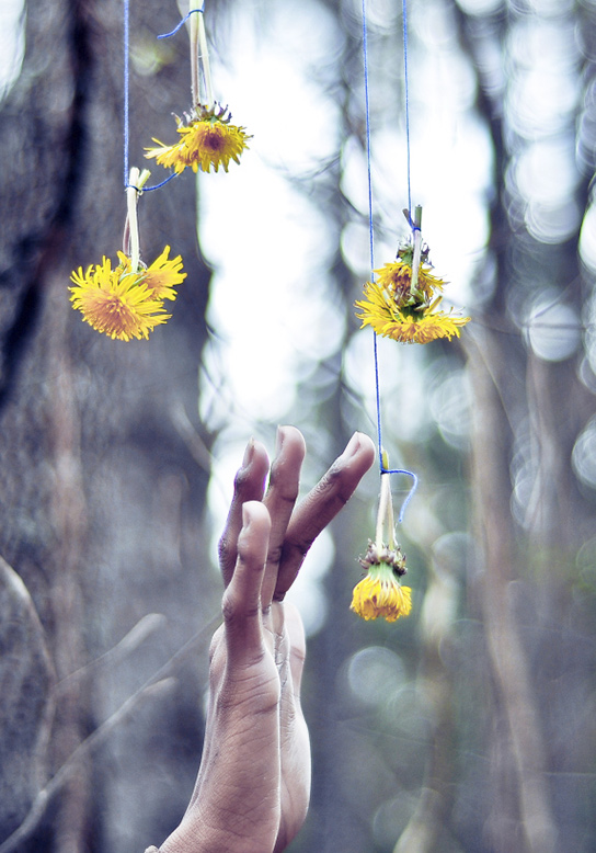 hand touching flowers